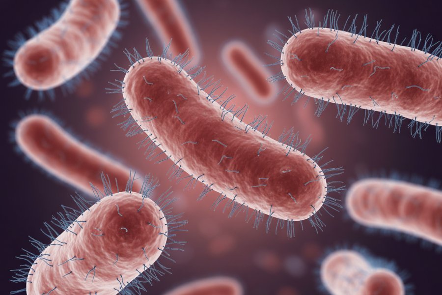 Unlock the Secrets to Optimizing Your Gut Health Naturally